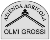 Logo Footer Agriturismo Olmi Grossi